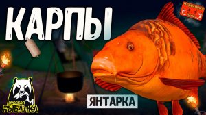 РР4/ рыбалка для души, ловим как универсал, общаемся 01.01.24