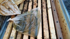 Щавелевая кислота 3%