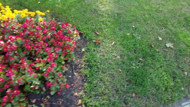 Palanga. Осенний курорт по́лон людей! Бабье лето. Литва #palanga смотреть онлайн