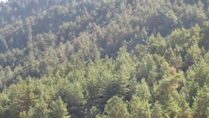 Дарада -  село, где  Пирогов  оперировал  наиба  Умалата  из  Алмака