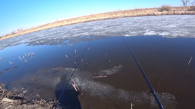 Ротан. Весна 2021 . Рыбалка на поплавок и боковой кивок . смотреть онлайн