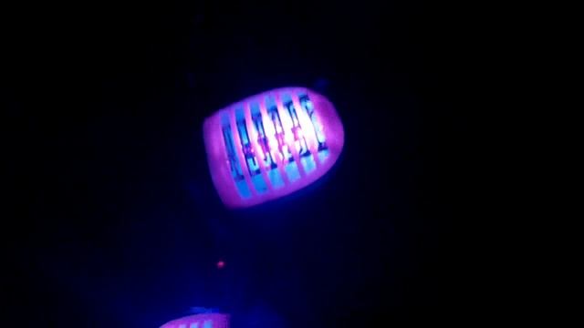 Комары на КРС. Защита от комаров в коровнике. смотреть онлайн