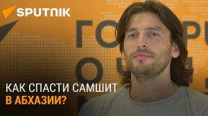 Не дать умереть: как спасти самшит в Абхазии