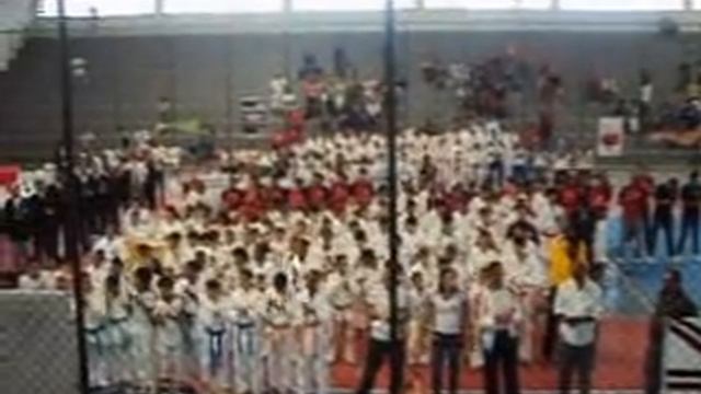 Apresentação de atletas no campeonato. смотреть онлайн