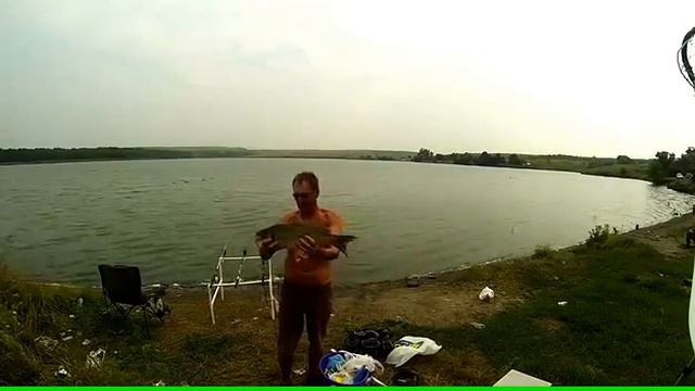 поймать сазана смотреть онлайн