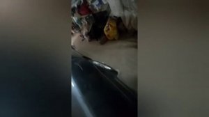 Ремонт тормозного цилиндра или суппорта.Замена ремкомплекта шкода,ауди,фольксваген.Замена тормозух