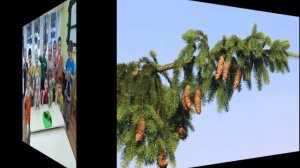 Познавательно-исследовательский проект ЕЛЬ