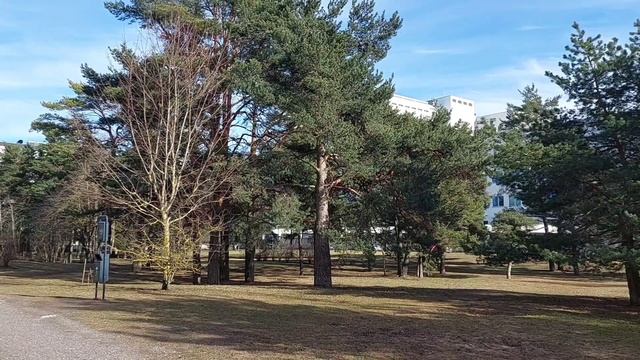 Таллин.Старые места новым взглядом.часть1.#Мустамяэ #улицаСютисте #немецкаягимназия