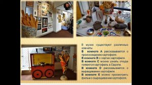 Виртуальное путешествие "Необычные музеи мира"