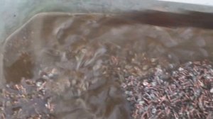 СЕРЕБРО ИЗ КОНТАКТОВ ПТК