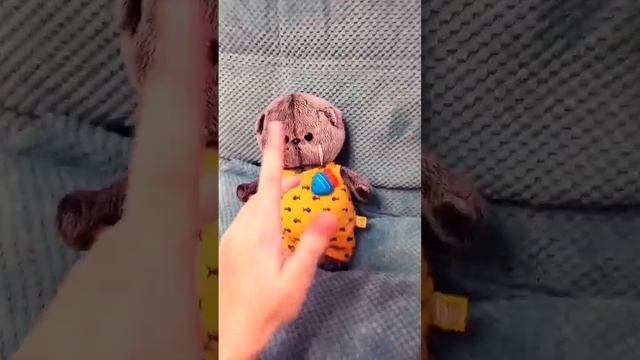 Басик не знает меры #а4 #рек #basik #diy #басик #lol #cat #eat #lalafanfan #басики смотреть онлайн