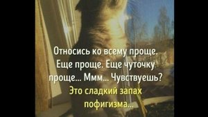 С пятницей! Ура пятница! Приколы про пятницу  Веселое видео!