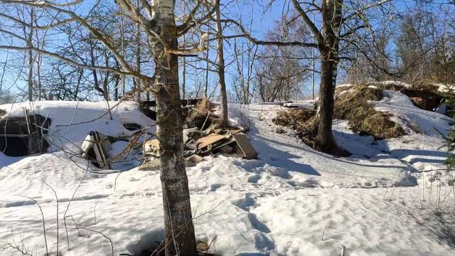 EDgun Leshiy 5.5 первое знакомство , первый отстрел на 30 м смотреть онлайн