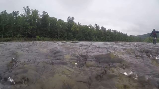 Таймень где то рядом смотреть онлайн