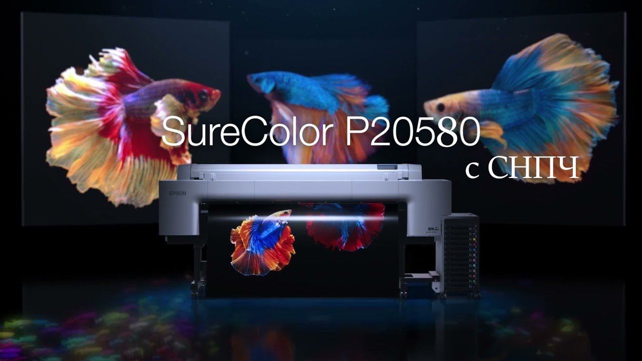 Epson SureColor P20580 c СНПЧ | НОВИНКА