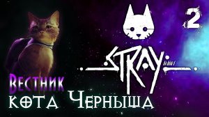 Stray/Стрим "Вестник кота Черныша" ?