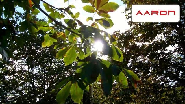 Nikon Coolpix L610 - testovací video смотреть онлайн