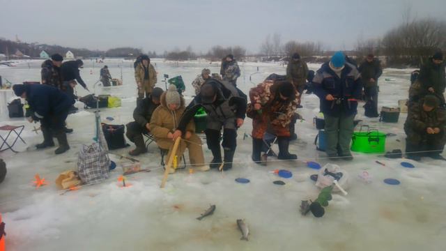 Стрелецкий Ручей 09/03/2019- 1 смотреть онлайн