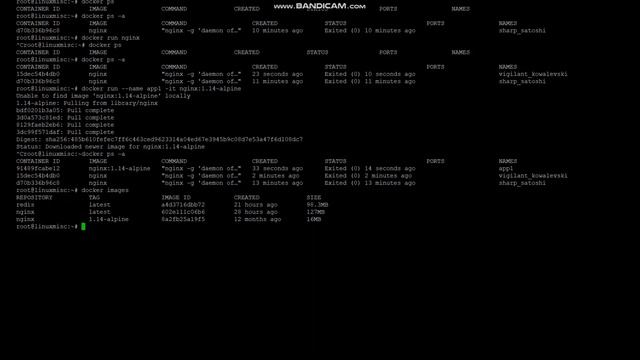 Docker Commands part 1 смотреть онлайн