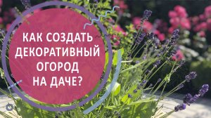 КАК СОЗДАТЬ ДЕКОРАТИВНЫЙ ОГОРОД НА ДАЧЕ?