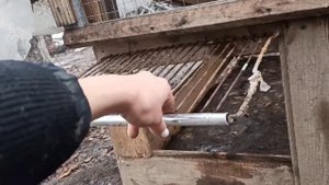 Сделала небольшой вольер для фазана своими руками.