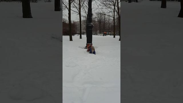 Ходим по снегу и ходим! смотреть онлайн