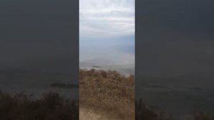 Рыбалка на пеленгаса 2021 Атманай!