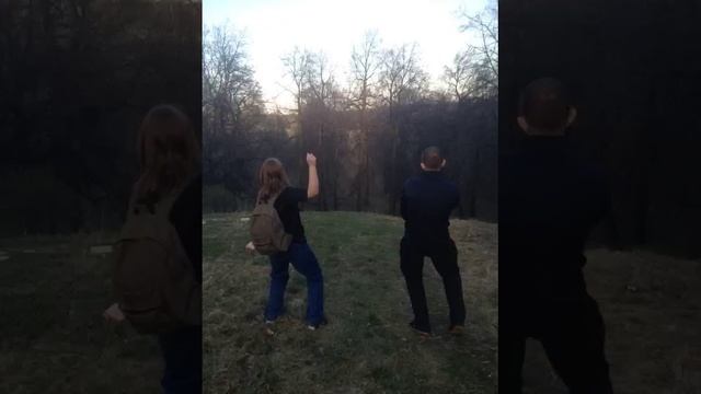 2017 год