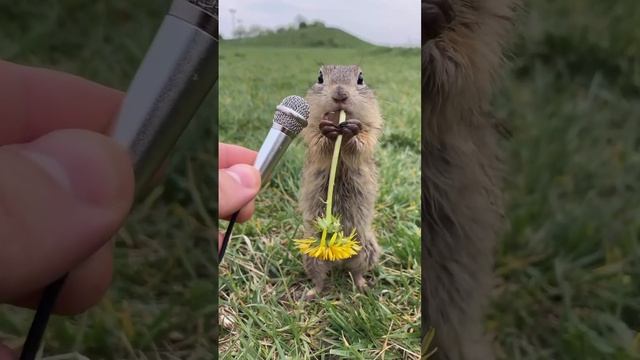 А чё? Мне вкусно!