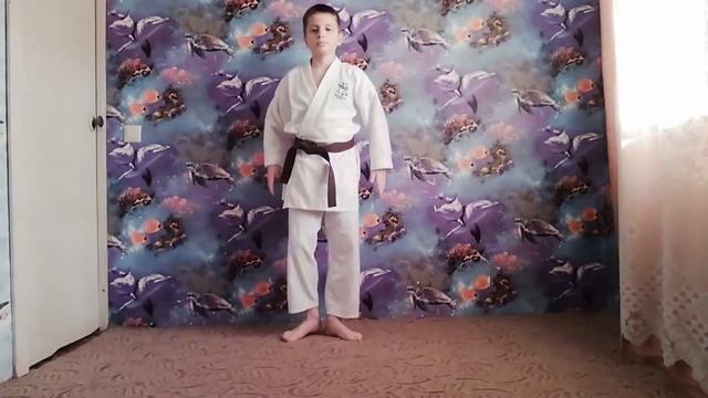 САМАЯ ЛУЧШАЯ ТРЕНИРОВКА КАРАТЕ / Высшие ката. Вольные бои. Удары с утяжелителями. Физподготовка.