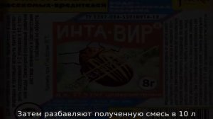 Чем подкормить цветную капусту после высадки в грунт