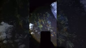 Весенняя маскировка на гуся на озимых(зеленях)