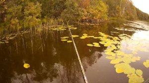 РЫБАЛКА ПО ДУШЕ.Ловля на поплапоппер. #30