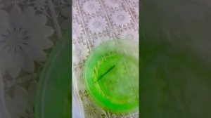 Пытаюсь оживить засыхающую пасту в стержне ручки?