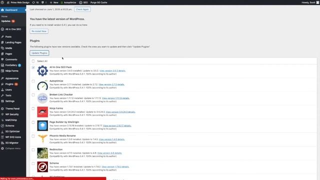How to Update Wordpress Software and Plugins