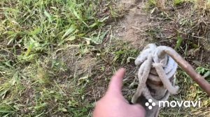 КАКОЙ ПРИЦЕП ВЫБРАТЬ?