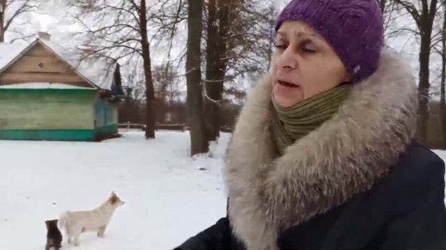 Радужная мечта и серая реальность...