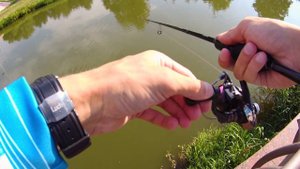 Тейл-спиннер осенью. Будет клевать или это только для лета?