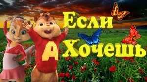 ? ЕСЛИ ХОЧЕШЬ ? НоваЯ ЧумОваЯ Песня с ? Морем Эмоций ?от Элвина и Друзей ✌