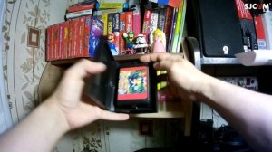 Моя коллекция картриджей SEGA MD, часть первая