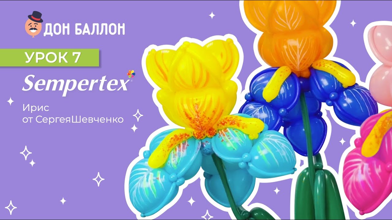 Урок 7. Ирис от художника по воздушным шарам Sempertex Сергея Шевченко. смотреть онлайн