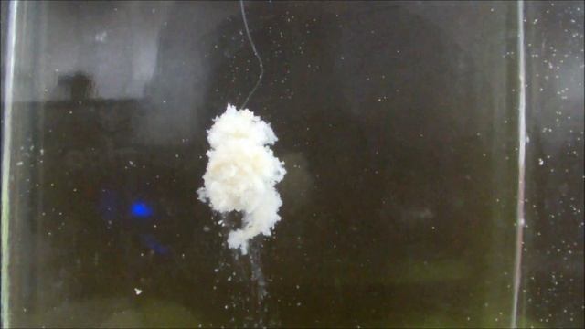 Херабуна.Хлебная насадка-тесто и ловля со дна. смотреть онлайн