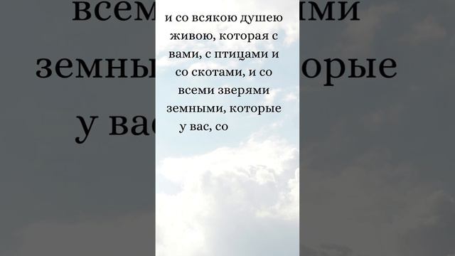 Бытие 9:8-11 (Русская Синодальная Библия) #библия #писание #русскаясинодальнаябиблия #бытие