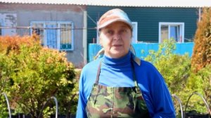 Азофит.