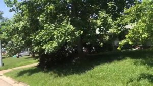 Дома в США, где живёт американский средний класс, прогулка по моей деревне