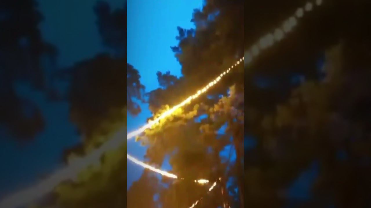 Без воды растения погибают. Наши клетки также страдают без воды#буграирина #природа #жизньбезболи