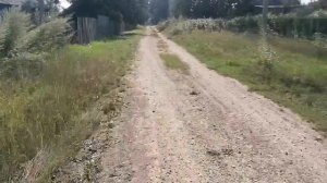 поселок Пионерский Мазановского района Амурской области_ лето 2023 год