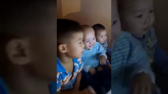 макат жигер биши(8) смотреть онлайн