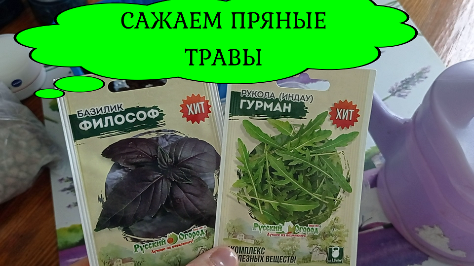 САЖАЕМ ПРЯНЫЕ ТРАВЫ!#пряныетравы#семенапряныхтрав#базилик#рукола#базиликизсемян#рукколаизсемян#посад