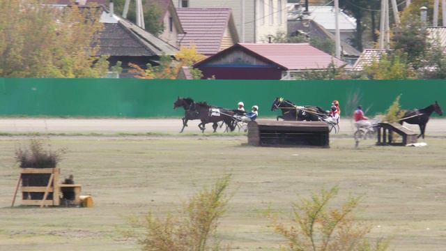 24.09.2022г.Абакан Приз «Мемориал Маршала С. М. Буденного» для лошадей старшего возраста,Рысистых по